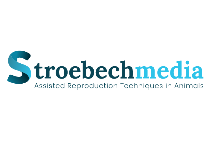 Stroebech-media